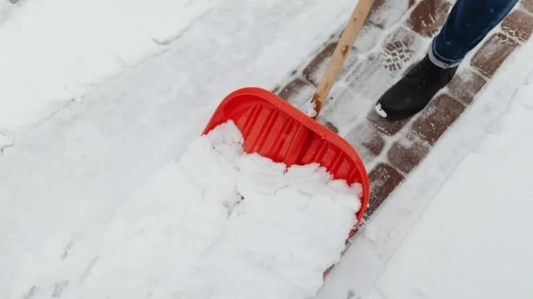 7 Common Mistakes Homeowners Make Without Professional Snow Removal