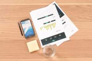 The Growing Popularity of Online Fun and Entertainment Tools