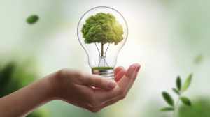 Business: Building Sustainable Success in a Competitive World