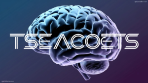 Tseacoets: A Simple Guide to Understanding This Powerful Concept