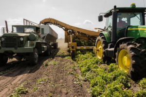 Operational Efficiency: How the Right Tools Transform Productivity